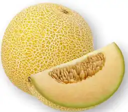 Scheck-in-Center Galia Melone Angebot
