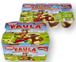 Scheck-in-Center Dr. Oetker Paula Schoko-Pudding Angebot