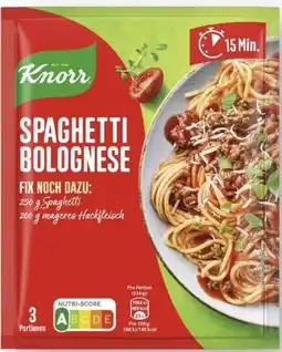 Scheck-in-Center Knorr Fix Angebot