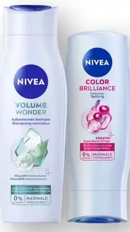 Scheck-in-Center Nivea Shampoo Angebot