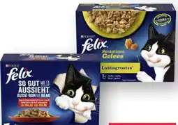 Scheck-in-Center Purina Felix Katzennahrung Angebot