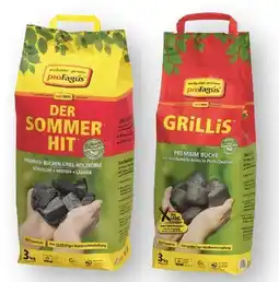 Scheck-in-Center proFagus Buchen Grill-Holzkohle Der Sommer-Hit Angebot