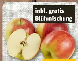 nahkauf Tafelapfel Angebot
