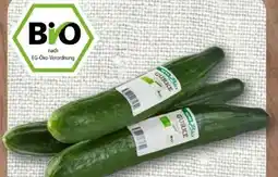 nahkauf Rewe Bio Bio-Salatgurke Angebot