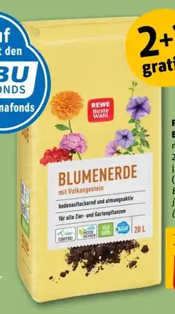 REWE Center Rewe Beste Wahl Blumenerde Angebot