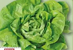 REWE Center Rewe Regional Kopfsalat Angebot