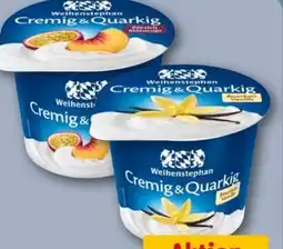 REWE Center Weihenstephan Cremig & Quarkig Angebot