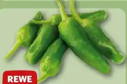 REWE Center Rewe Beste Wahl Bratpaprika Grün Angebot
