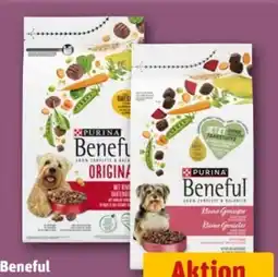 REWE Center Purina Beneful Hundetrockennahrung Angebot