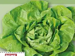 REWE Rewe Regional Kopfsalat Angebot
