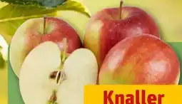 REWE Tafelapfel Angebot