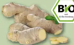 REWE Bio Ingwer Angebot