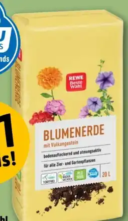REWE Rewe Beste Wahl Blumenerde Angebot
