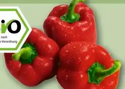 REWE Rewe Bio Rote Paprika Angebot