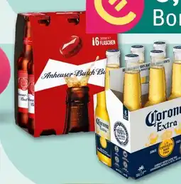 REWE Anheuser Busch Bud Beer Angebot