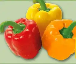REWE Rewe Beste Wahl Paprika Mix Angebot