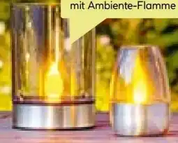 BayWa Bau & Garten Flector Garten LED-Solar-Windlicht Ambience Angebot