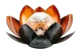 BayWa Bau & Garten Flector Garten LED-Solar-Dekoleuchte Lotus Angebot