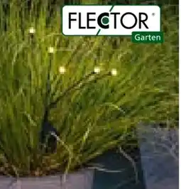 BayWa Bau & Garten Flector Garten Solar-Spieß Bubbles Angebot