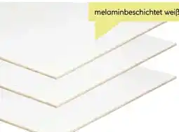 BayWa Bau & Garten MDF-Platte Angebot