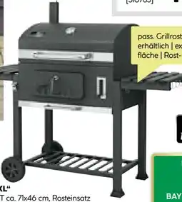 BayWa Bau & Garten Rothmann Kohlegrill Orlando XXL Angebot