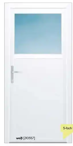 BayWa Bau & Garten Kunststoff-Nebeneingangstür F02 Easy Angebot