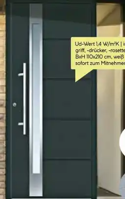 BayWa Bau & Garten Aluminium-Sicherheitshaustür Rom Angebot