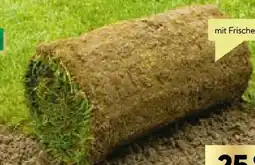 BayWa Bau & Garten Plantiflor Rollrasen Sport und Spiel Angebot