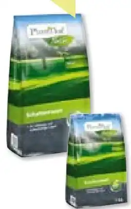 BayWa Bau & Garten Plantiflor Schattenrasen Angebot