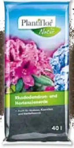 BayWa Bau & Garten Plantiflor Rhododendron- und Hortensienerde Angebot