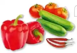BayWa Bau & Garten Plantiflor Gemüsepflanzen Meisterklasse Angebot