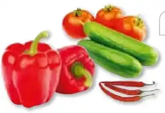 BayWa Bau & Garten Plantiflor Gemüsepflanzen Meisterklasse Angebot