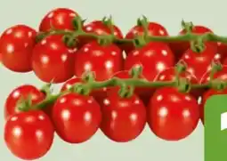 Edeka Xpress Cherry Rispentomaten Angebot