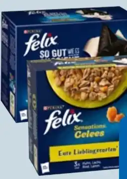 Edeka Xpress Purina Felix Katzennahrung Angebot