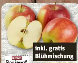 nahkauf Rewe Regional Tafeläpfel Angebot