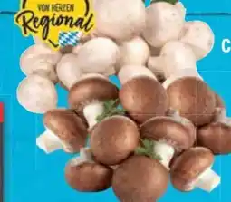 E-Center Champignons Angebot