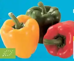 E-Center Bio Paprika-Mix Angebot