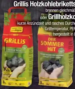 E-Center proFagus Holzkohlebriketts Grillis Angebot