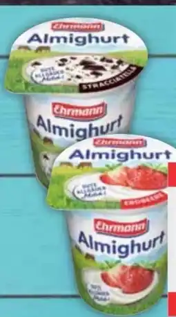 E-Center Ehrmann Almighurt Angebot