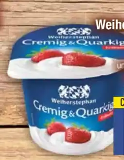 E-Center Weihenstephan Fruchtquark Angebot