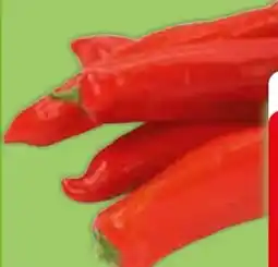 Edeka Rot Spitzpaprika Angebot