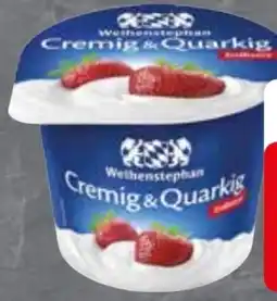 Edeka Weihenstephan Fruchtquark Angebot