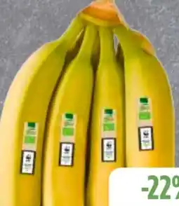 Edeka Frischemarkt Edeka Bio Bananen Angebot