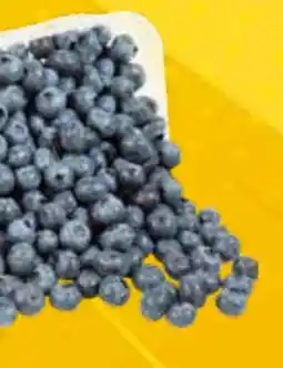 EDEKA Bandelt Bio Kulturheidelbeeren Angebot