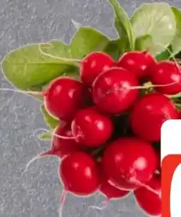 Edeka Radieschen Angebot