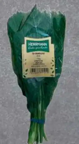 Edeka Herrmann Kräuter XXL Kräuterbunde Angebot