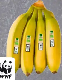 Edeka Edeka Bio Bio-Bananen Angebot