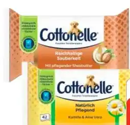 Edeka Cottonelle Feuchtes Toilettenpapier Angebot