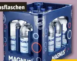 REWE Center Magnus Mineralwasser Angebot