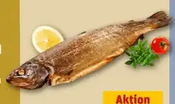 REWE Center Geräucherte Forellen Angebot